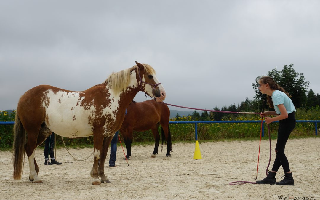 Viel mehr als nur Reiten!  Reiterwoche vom 27.7.-3.8.2019