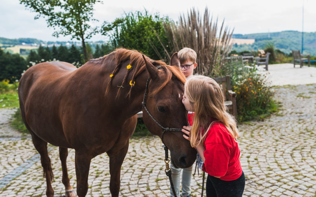 Reiterwoche – 12 herzkranke Kinder zwischen 10-15 Jahren